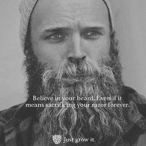 Meet your Posher, Timothy